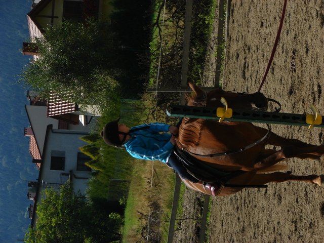 Hubertus 2010